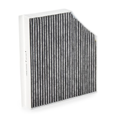 Filter, Innenraumluft RIDEX 424I0487 424I0487 - foto 11