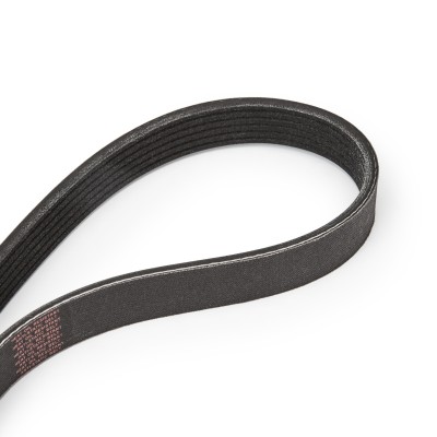 Mehrrippiger Keilriemen Set RIDEX 542R0052P 542R0052P - foto 14