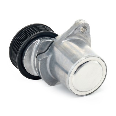 Spannarm Keilrippenriemen RIDEX 310T0011 310T0011 - foto 5