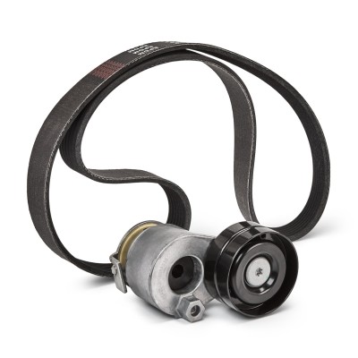 Mehrrippiger Keilriemen Set RIDEX 542R0421P 542R0421P - foto 9