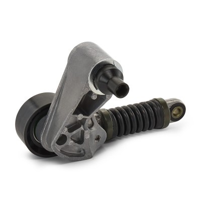Spannarm Keilrippenriemen RIDEX 310T0100 310T0100 - foto 4