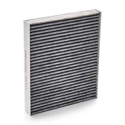 Filter, Innenraumluft RIDEX 424I0441 424I0441 - foto 11