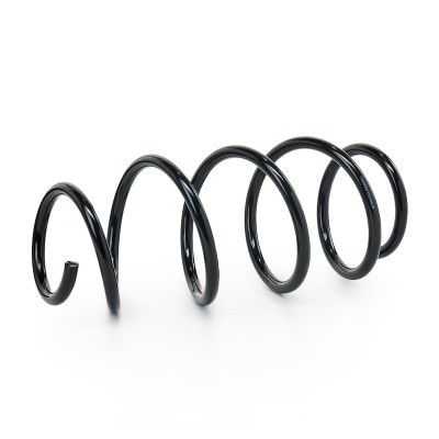 Fahrwerksfeder RIDEX 188C2221 188C2221 - foto 2