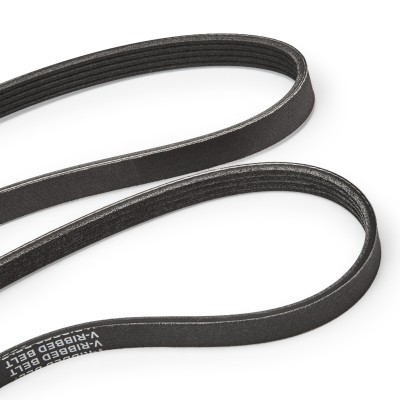 Mehrrippiger Keilriemen Set RIDEX 542R0060P 542R0060P - foto 14