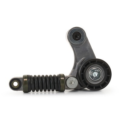 Spannarm Keilrippenriemen RIDEX 310T0100 310T0100 - foto 5