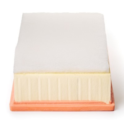 Luftfilter RIDEX 8A0668P 8A0668P - foto 5