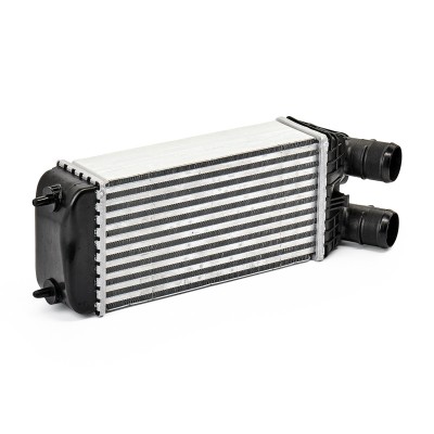 Ladeluftkühler RIDEX 468I0135 468I0135 - foto 7