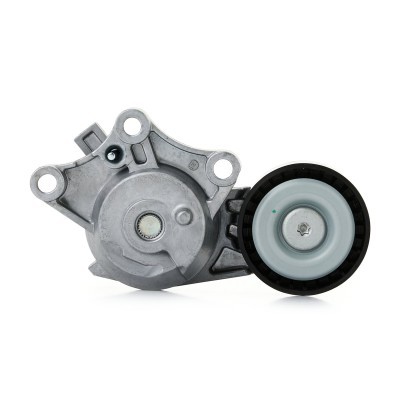 Spannarm Keilrippenriemen RIDEX 310T0653 310T0653 - foto 5