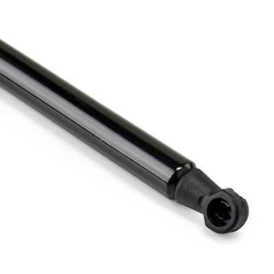 Gasfeder, Koffer-/Laderaum RIDEX 219G1225 219G1225 - foto 5