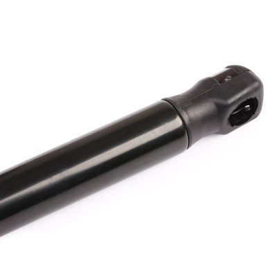 Gasfeder, Koffer-/Laderaum RIDEX 219G0143 219G0143 - foto 5