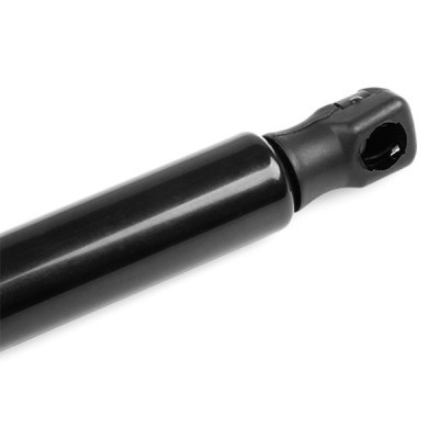 Gasfeder, Koffer-/Laderaum RIDEX 219G0402 219G0402 - foto 5