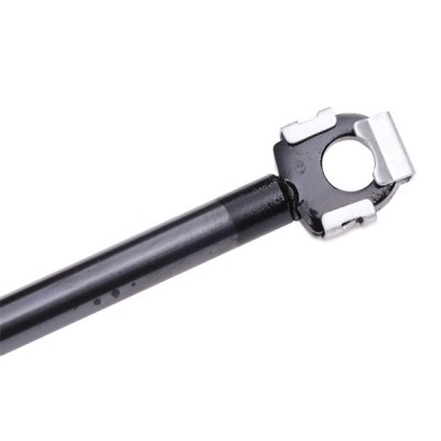 Gasfeder, Koffer-/Laderaum RIDEX 219G0295 219G0295 - foto 5