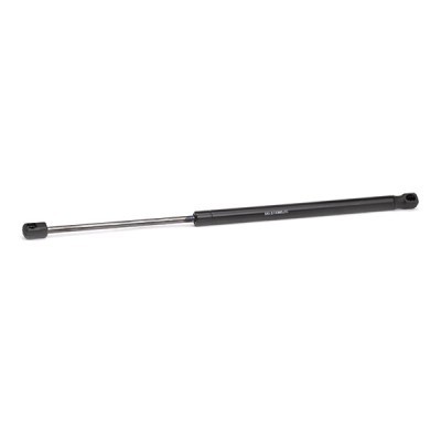 Gasfeder, Koffer-/Laderaum RIDEX 219G0845 219G0845 - foto 4