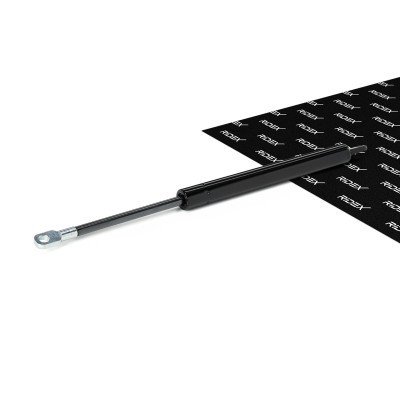 Gasfeder, Koffer-/Laderaum RIDEX 219G0053 219G0053 - foto 2