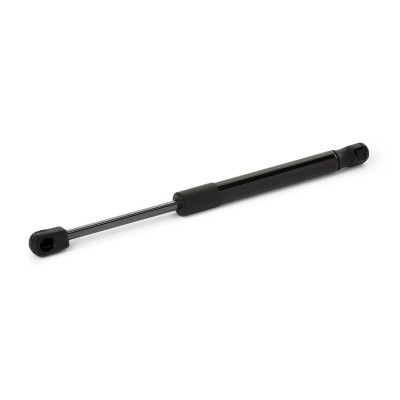 Gasfeder, Koffer-/Laderaum RIDEX 219G1251 219G1251 - foto 2