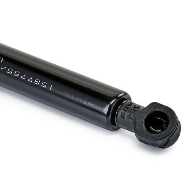 Gasfeder, Koffer-/Laderaum RIDEX 219G0439 219G0439 - foto 6