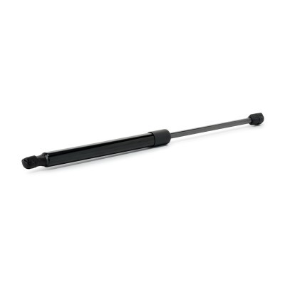 Gasfeder, Koffer-/Laderaum RIDEX 219G1313 219G1313 - foto 3