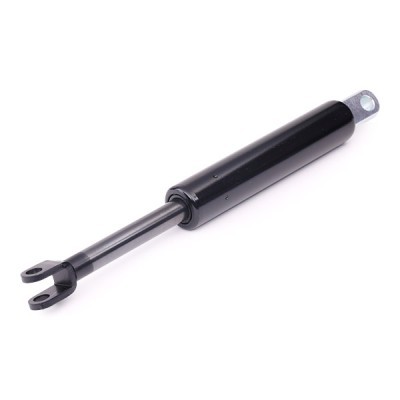 Gasfeder, Koffer-/Laderaum RIDEX 219G0191 219G0191 - foto 6