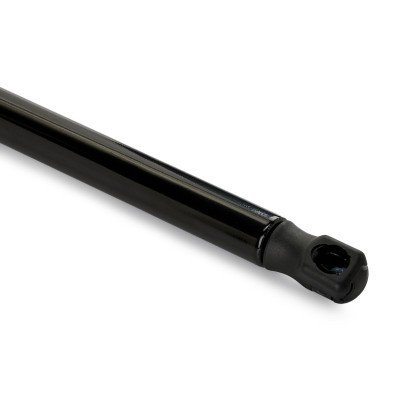 Gasfeder, Koffer-/Laderaum RIDEX 219G1471 219G1471 - foto 5