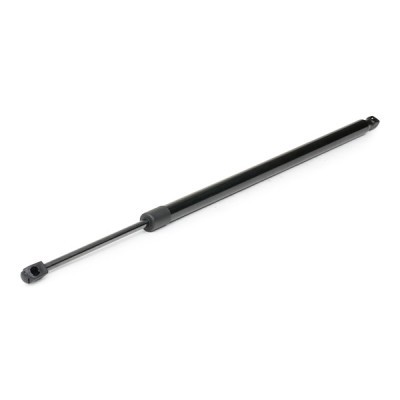 Gasfeder, Koffer-/Laderaum RIDEX 219G0314 219G0314 - foto 3