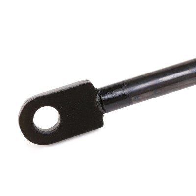 Gasfeder, Koffer-/Laderaum RIDEX 219G0884 219G0884 - foto 4