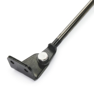 Gasfeder, Koffer-/Laderaum RIDEX 219G0780 219G0780 - foto 4