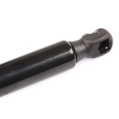 Gasfeder, Koffer-/Laderaum RIDEX 219G0184 219G0184 - foto 5