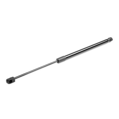 Gasfeder, Koffer-/Laderaum RIDEX 219G0849 219G0849 - foto 5