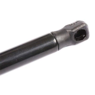 Gasfeder, Koffer-/Laderaum RIDEX 219G0420 219G0420 - foto 5