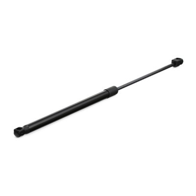 Gasfeder, Koffer-/Laderaum RIDEX 219G0316 219G0316 - foto 3