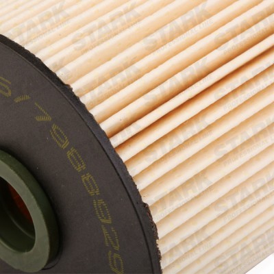 Kraftstofffilter Stark SKFF-0870032 SKFF-0870032 - foto 6