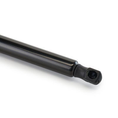 Gasfeder, Koffer-/Laderaum RIDEX 219G1345 219G1345 - foto 5