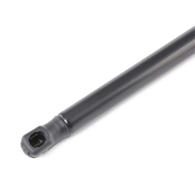 Gasfeder, Koffer-/Laderaum RIDEX 219G0886 219G0886 - foto 4
