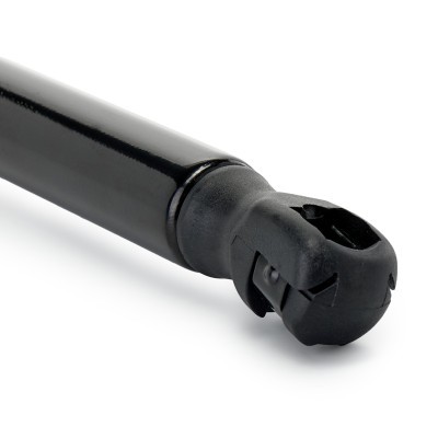 Gasfeder, Koffer-/Laderaum RIDEX 219G1473 219G1473 - foto 5