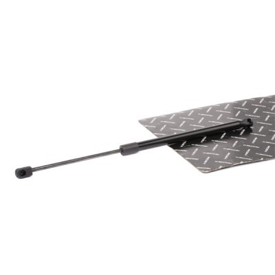 Gasfeder, Koffer-/Laderaum RIDEX 219G0955 219G0955 - foto 3