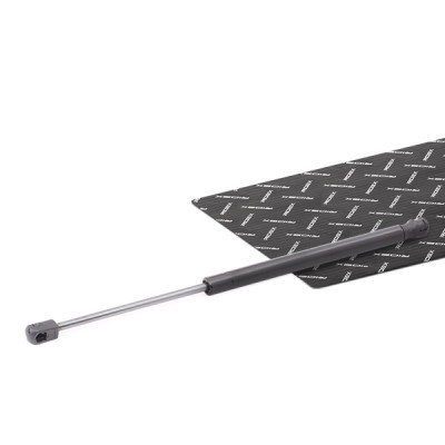 Gasfeder, Koffer-/Laderaum RIDEX 219G1054 219G1054 - foto 2