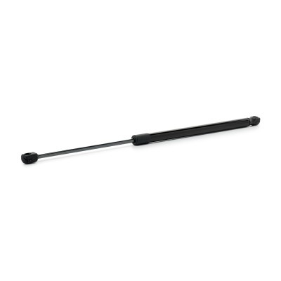 Gasfeder, Koffer-/Laderaum RIDEX 219G1290 219G1290 - foto 2
