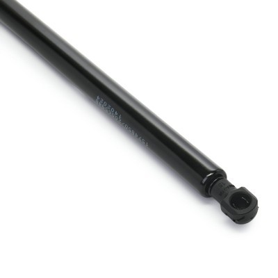 Gasfeder, Koffer-/Laderaum RIDEX 219G1259 219G1259 - foto 5