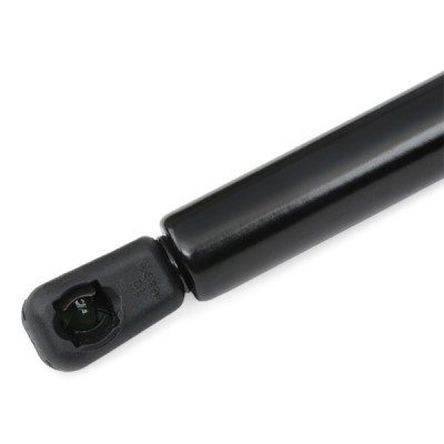 Gasfeder, Koffer-/Laderaum RIDEX 219G0310 219G0310 - foto 5