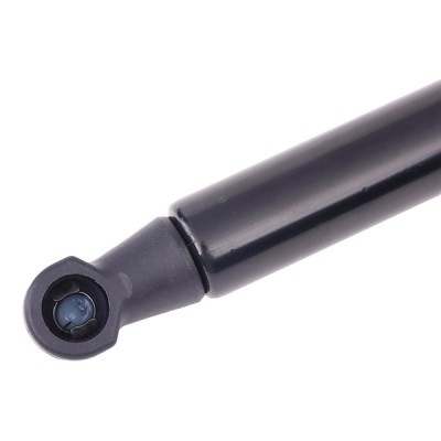 Gasfeder, Koffer-/Laderaum RIDEX 219G0366 219G0366 - foto 4