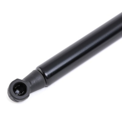 Gasfeder, Koffer-/Laderaum RIDEX 219G0880 219G0880 - foto 4