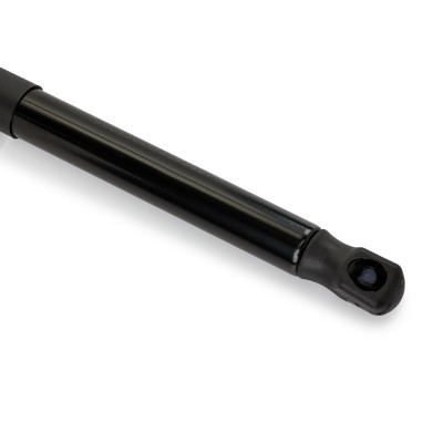 Gasfeder, Koffer-/Laderaum RIDEX 219G1251 219G1251 - foto 5