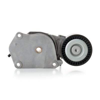 Spannarm Keilrippenriemen RIDEX 310T0144 310T0144 - foto 5