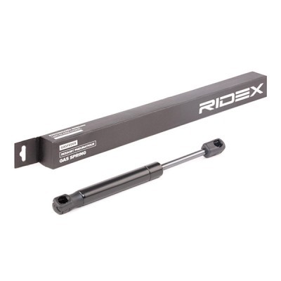 Gasfeder, Koffer-/Laderaum RIDEX 219G0408 219G0408 - foto 2
