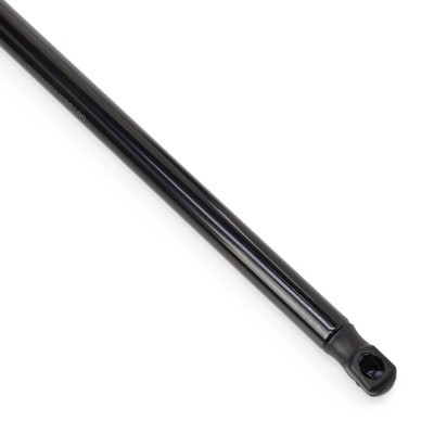 Gasfeder, Koffer-/Laderaum RIDEX 219G1221 219G1221 - foto 5