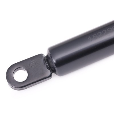 Gasfeder, Koffer-/Laderaum RIDEX 219G0497 219G0497 - foto 4