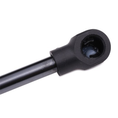 Gasfeder, Koffer-/Laderaum RIDEX 219G0163 219G0163 - foto 5