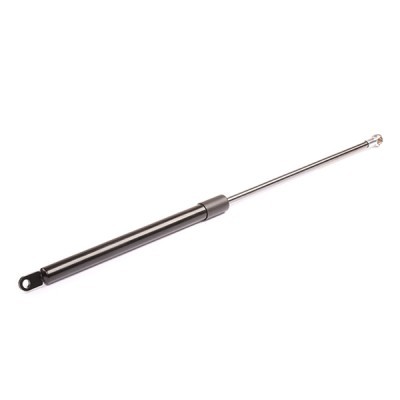 Gasfeder, Koffer-/Laderaum RIDEX 219G0089 219G0089 - foto 6
