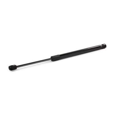 Gasfeder, Koffer-/Laderaum RIDEX 219G1024 219G1024 - foto 2