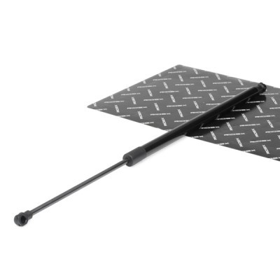 Gasfeder, Koffer-/Laderaum RIDEX 219G0009 219G0009 - foto 2